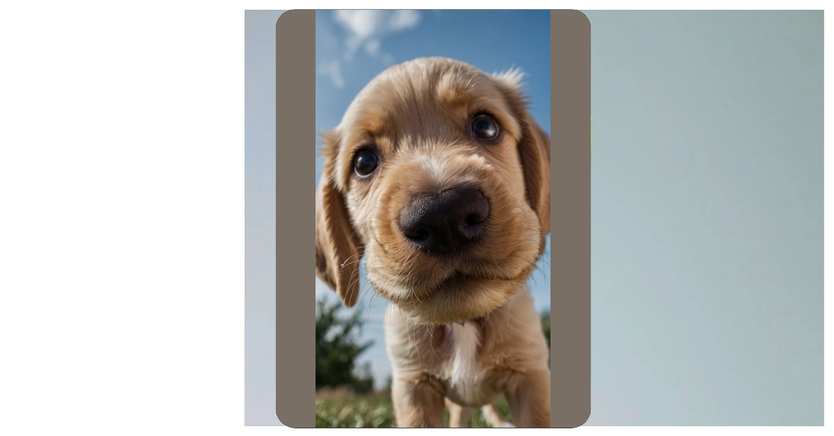 Whimsical Wonders: 12 Puppy Wallpaper Ideas for Every Pet Lover