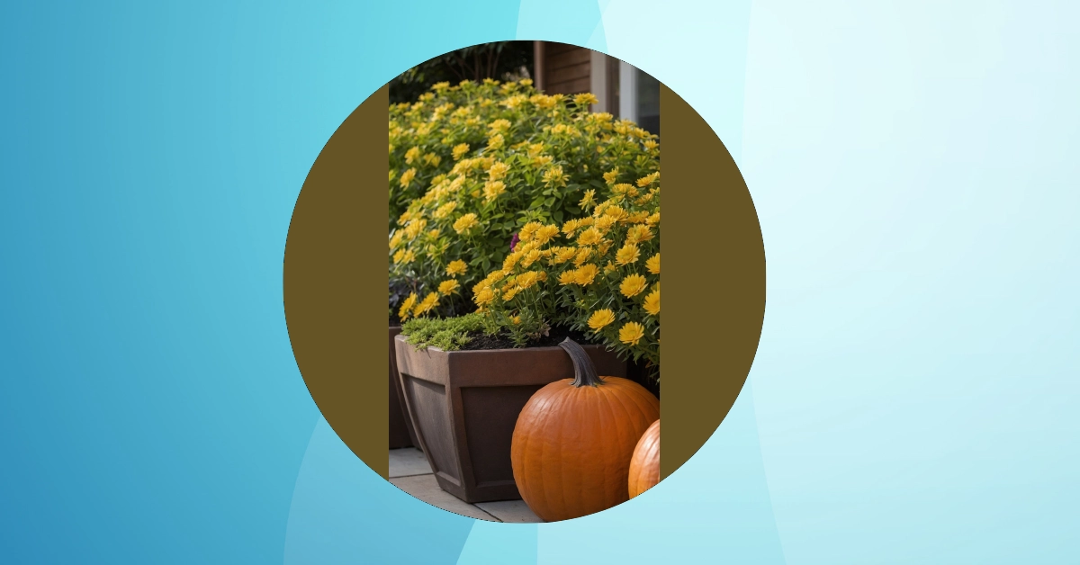 Coastal Charm: 10 Front Yard Landscaping Ideas for a Breezy Look