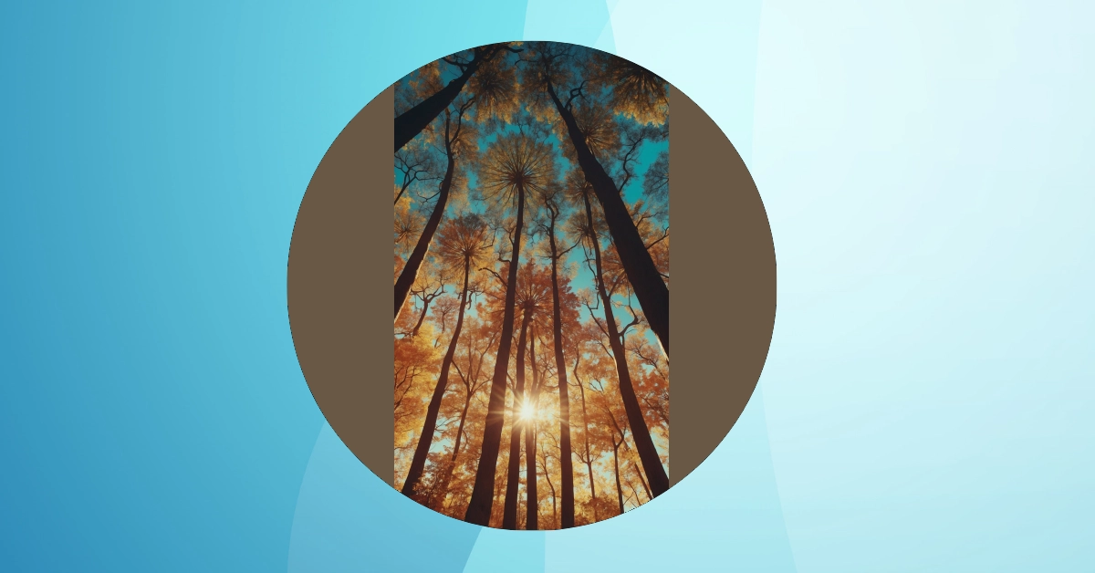 Splash of Color: 11 Phone Wallpaper Ideas to Get You Inspired