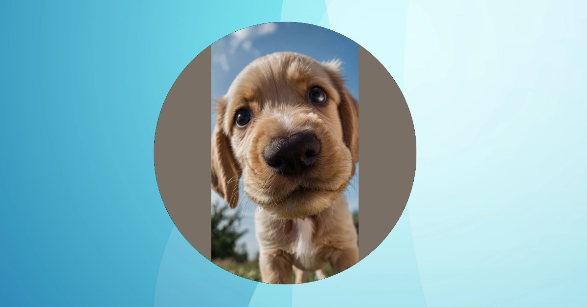 Pup-tastic Patterns: 12 Wallpaper Ideas to Adorn Your Devices